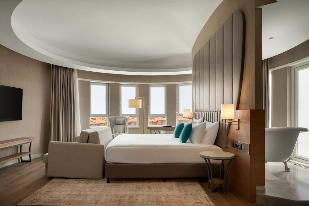 Junior Suite, 1 King Bed with Sofa bed, City View photo 1