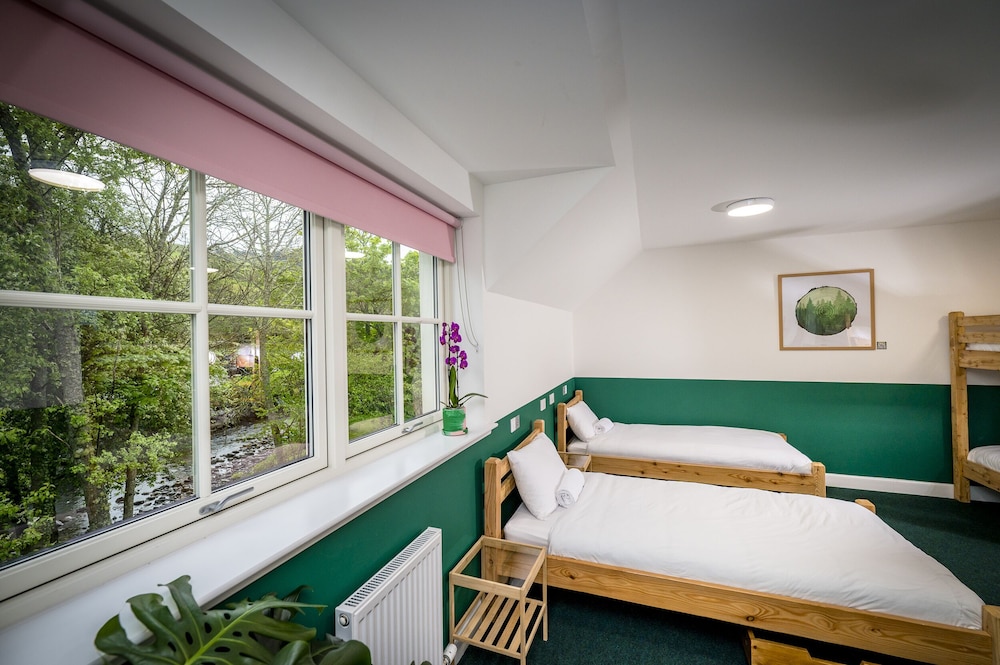Family Room (Bunk Six)