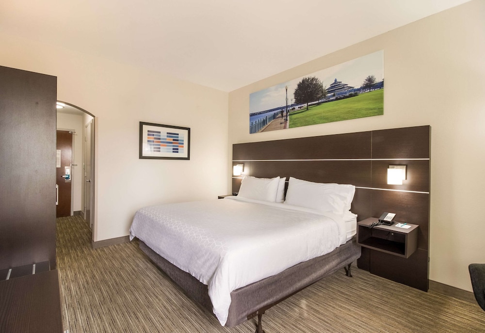 Suite, 1 King Bed With Sofa Bed, Non Smoking photo 1