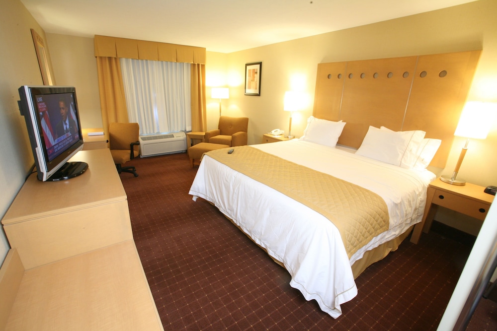 Suite, 1 King Bed - Photo 1