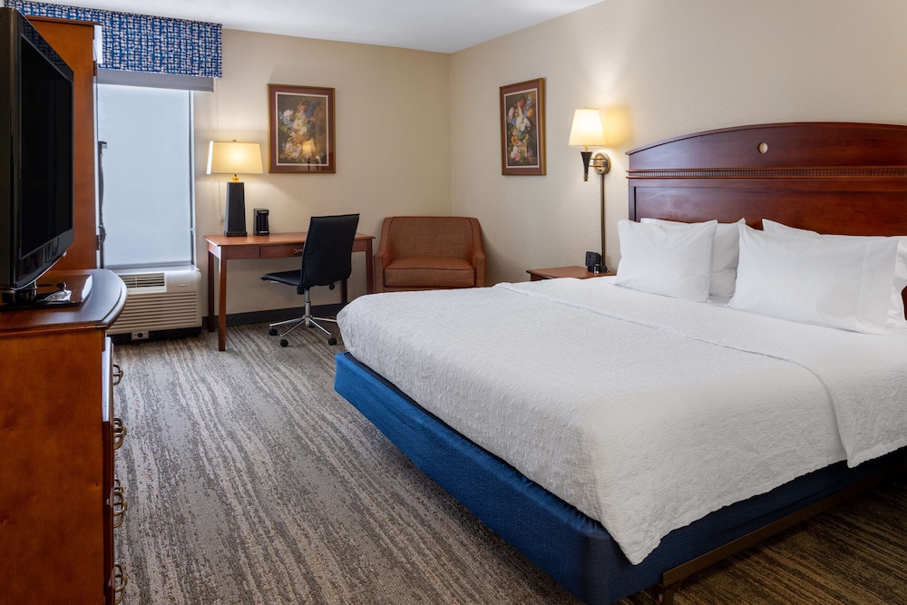 Room, 1 King Bed, Accessible photo 2