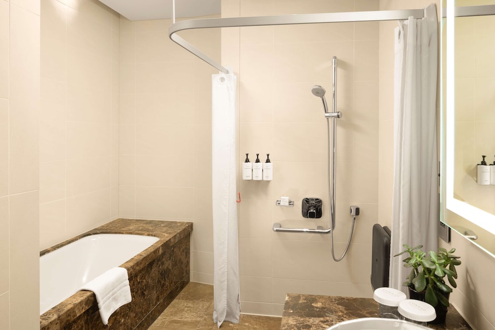 King Executive Accessible With Lounge Access
