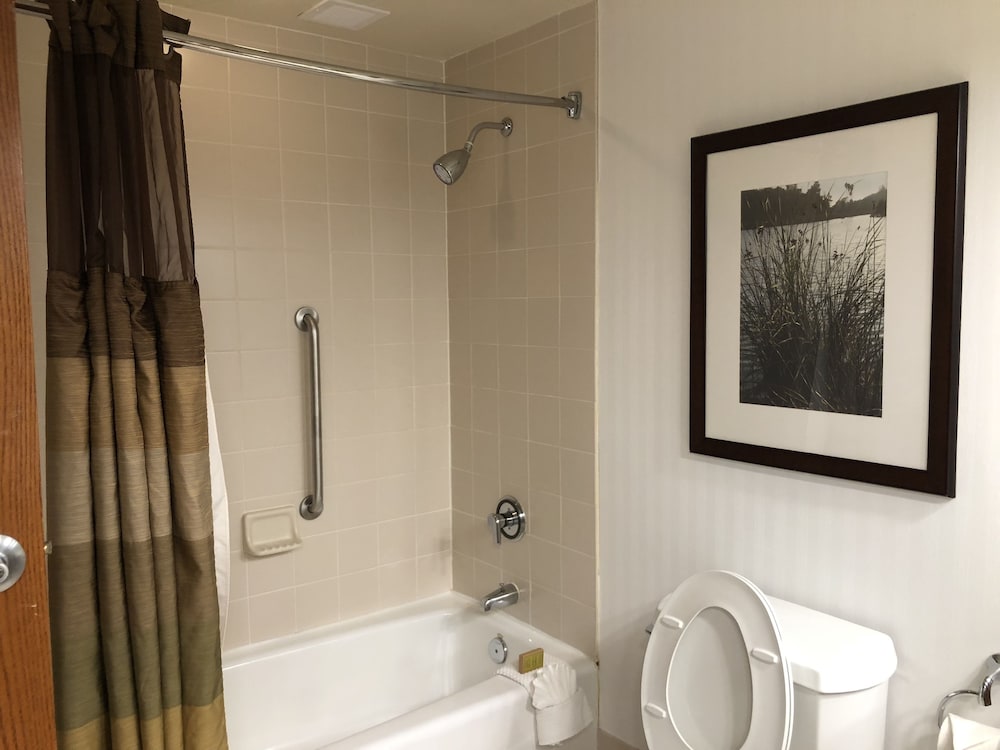 Deluxe Room, 1 King Bed, Accessible, Non Smoking - Photo 5
