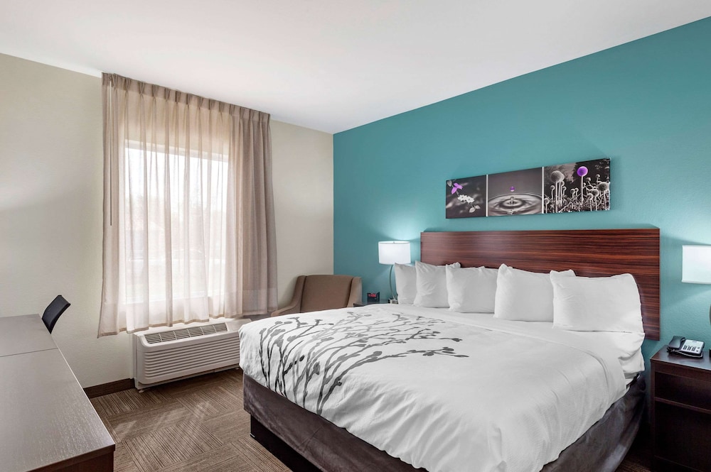 Room, 1 King Bed, Accessible, Non Smoking - Photo 6