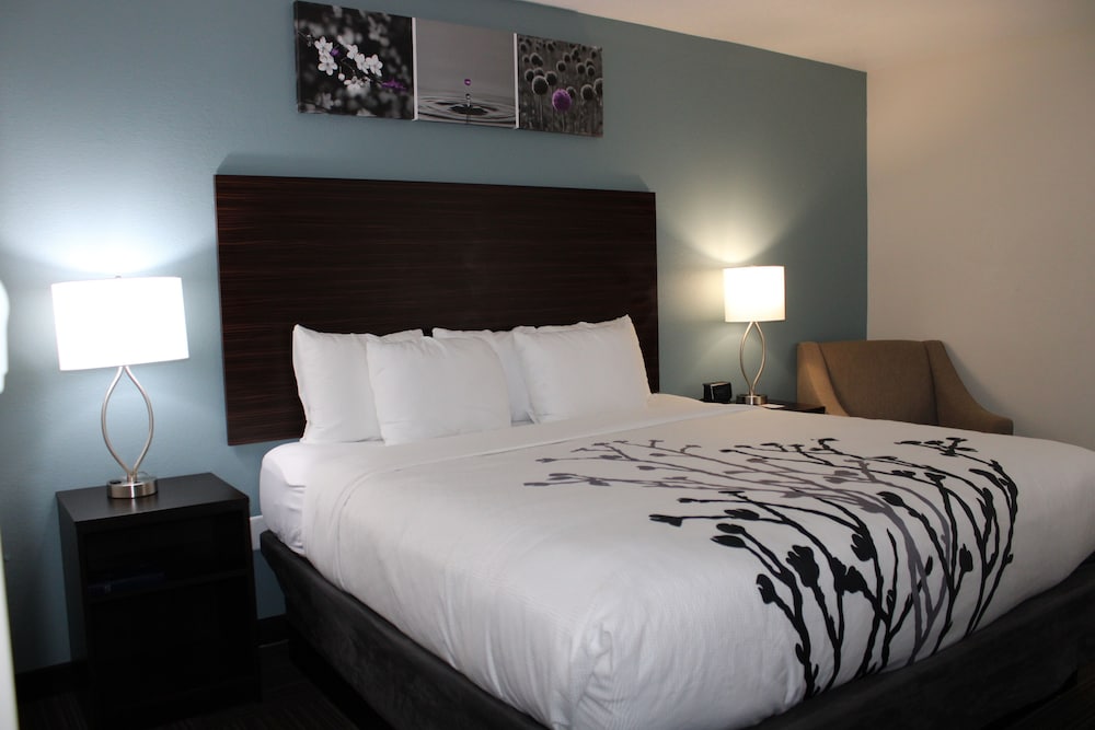 Room, 1 King Bed, Accessible, Non Smoking (Mobility, Roll-in Shower) - Photo 13