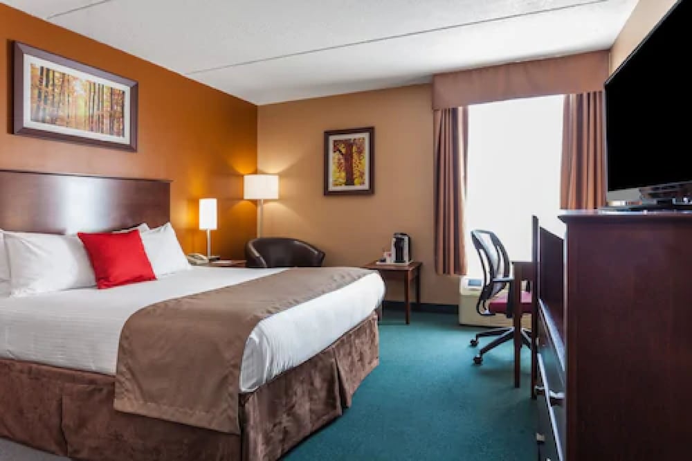 Room, 1 King Bed, Non Smoking, Refrigerator & Microwave