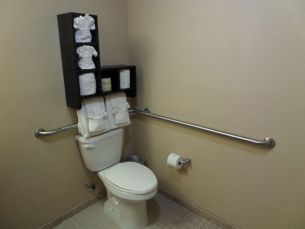Studio, 1 King Bed, Accessible (Roll-In Shower) - Photo 3
