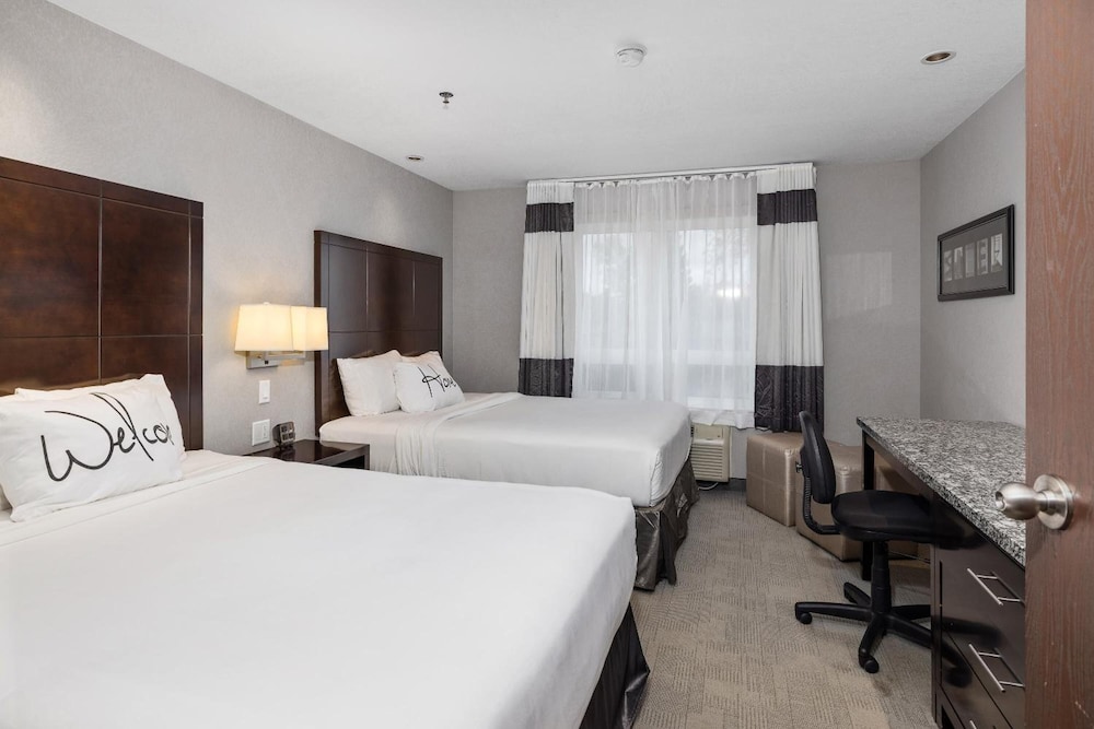 Standard Room, 2 Queen Beds photo 3