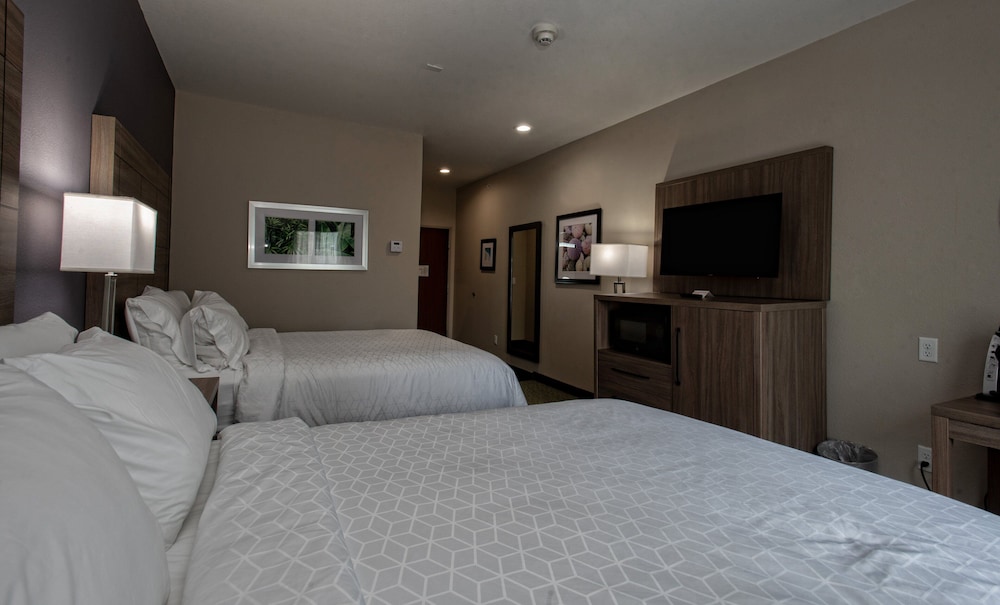 Suite, Multiple Beds - Photo 4