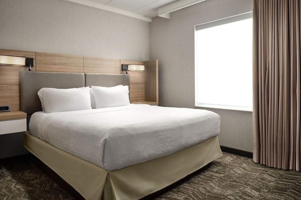 Studio Suite, 1 King Bed with Sofa bed (Mobility Accessible, Roll-in Shower)