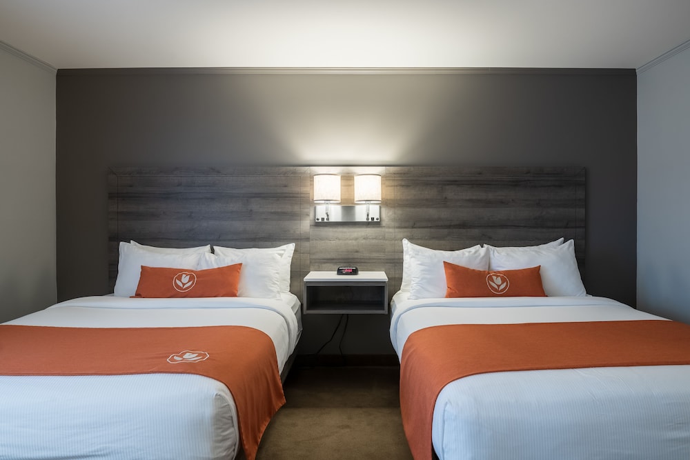 Standard Double Room, 2 Queen Beds - Photo 2