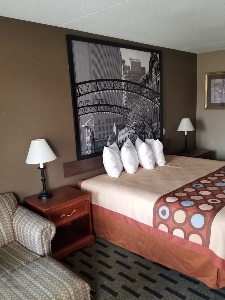 Room, 1 King Bed