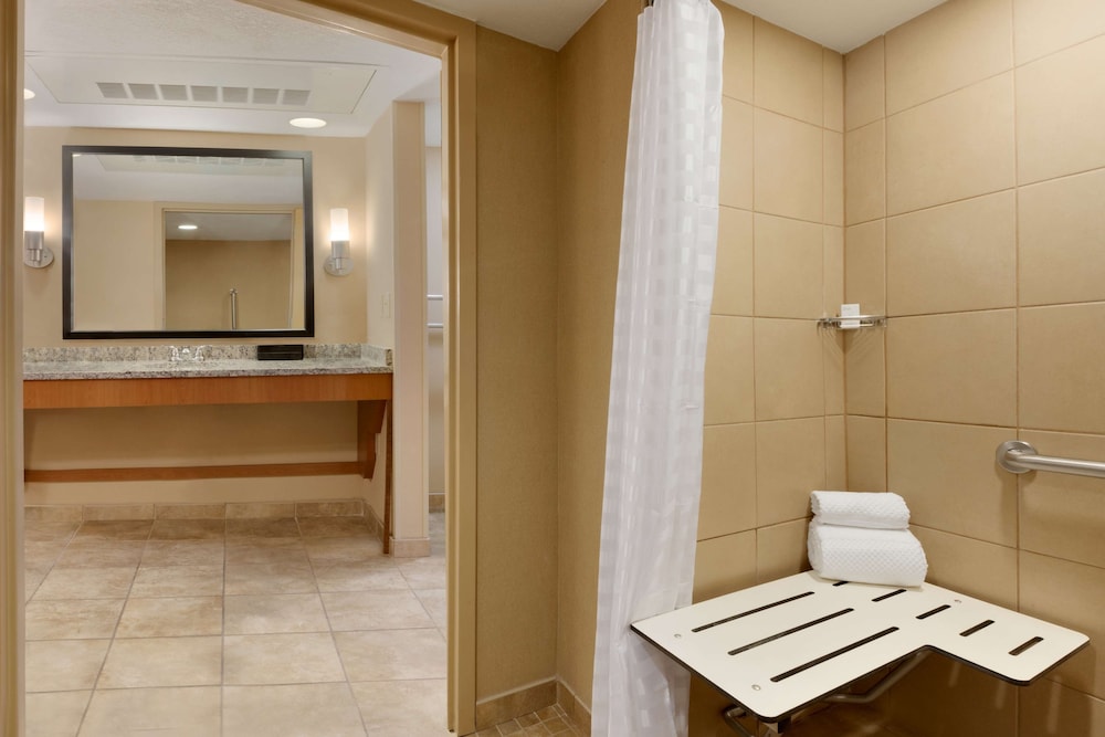 Suite, 1 King Bed, Accessible (Roll-In Shower) - Photo 5