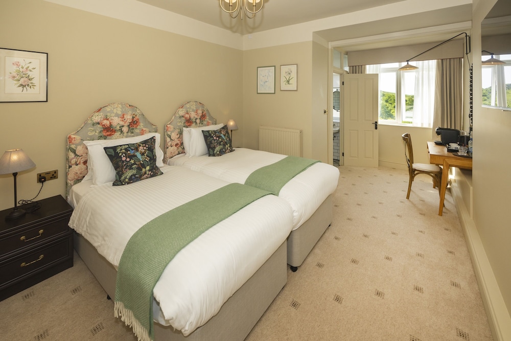 Deluxe Double or Twin Room photo 1