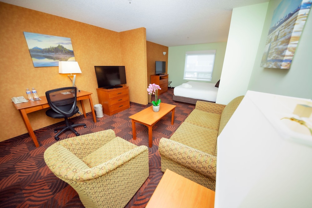 Business Studio Suite, 1 King Bed with Sofa bed - Photo 1