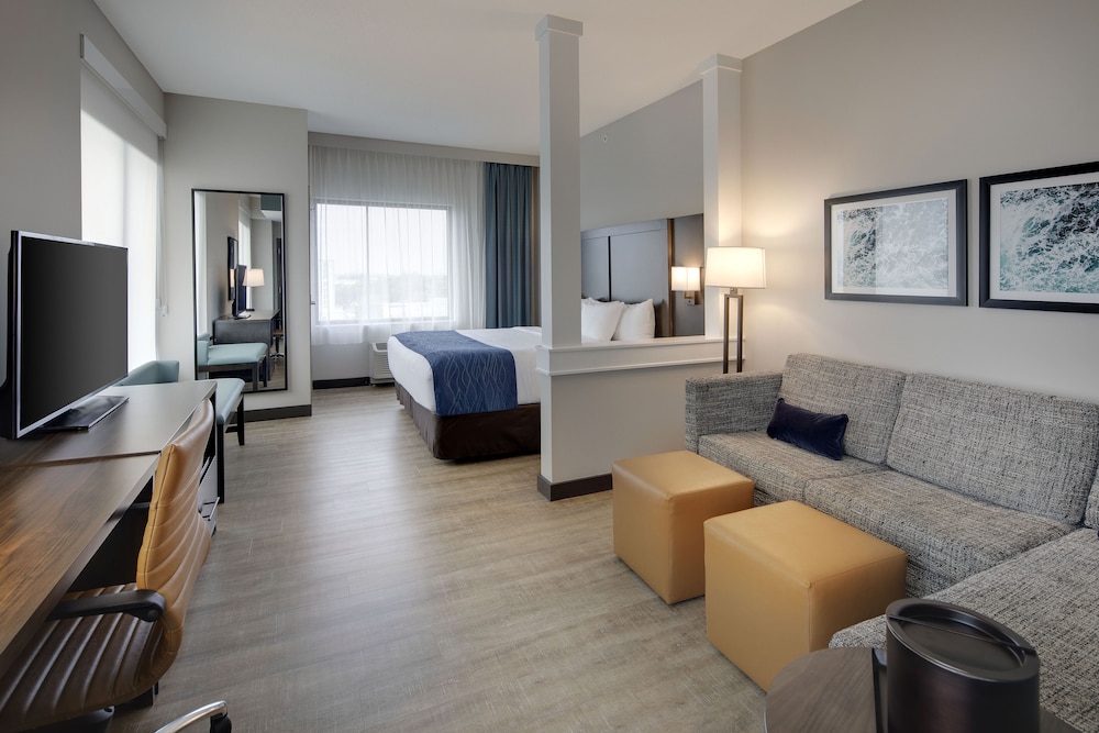 Studio Suite, 1 King Bed with Sofa bed, Non Smoking