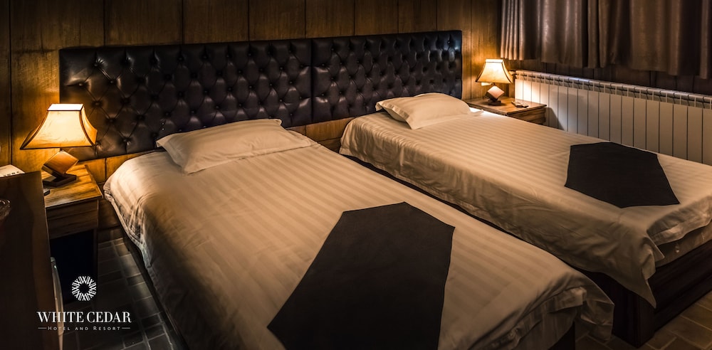 Twin Room photo 2