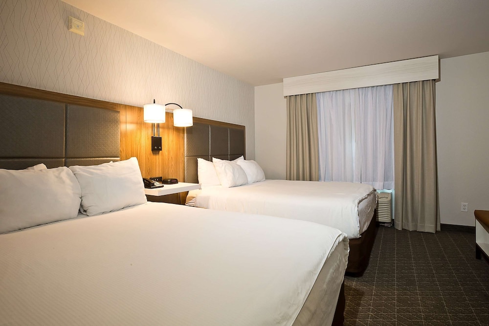 Studio, 2 Queen Beds, Accessible - Photo 1