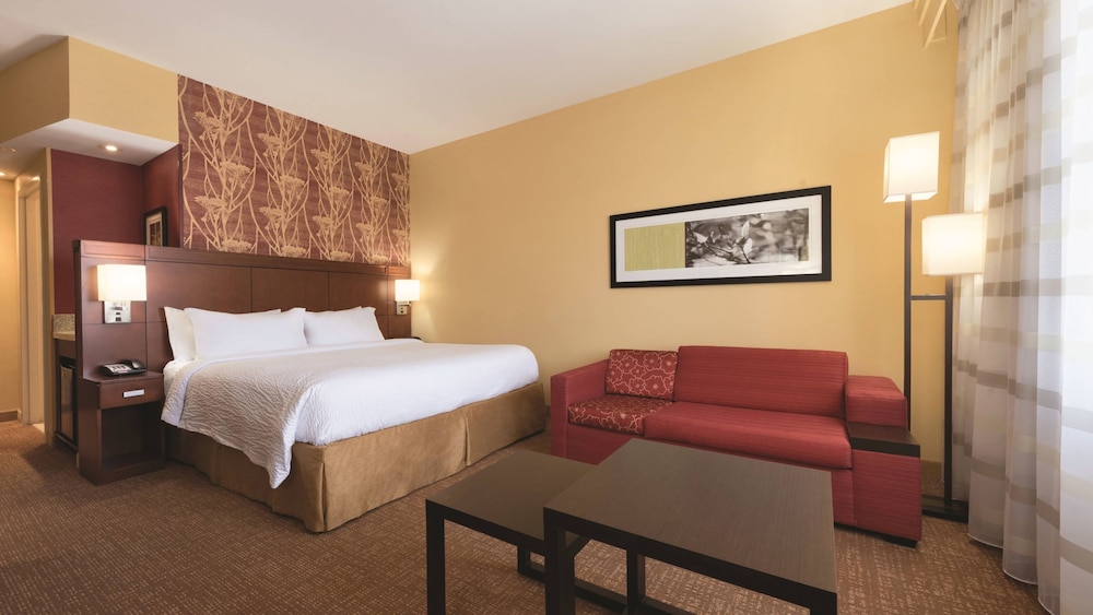 Room, 1 King Bed with Sofa bed (Mobility Accessible, Roll-in Shower) photo 3