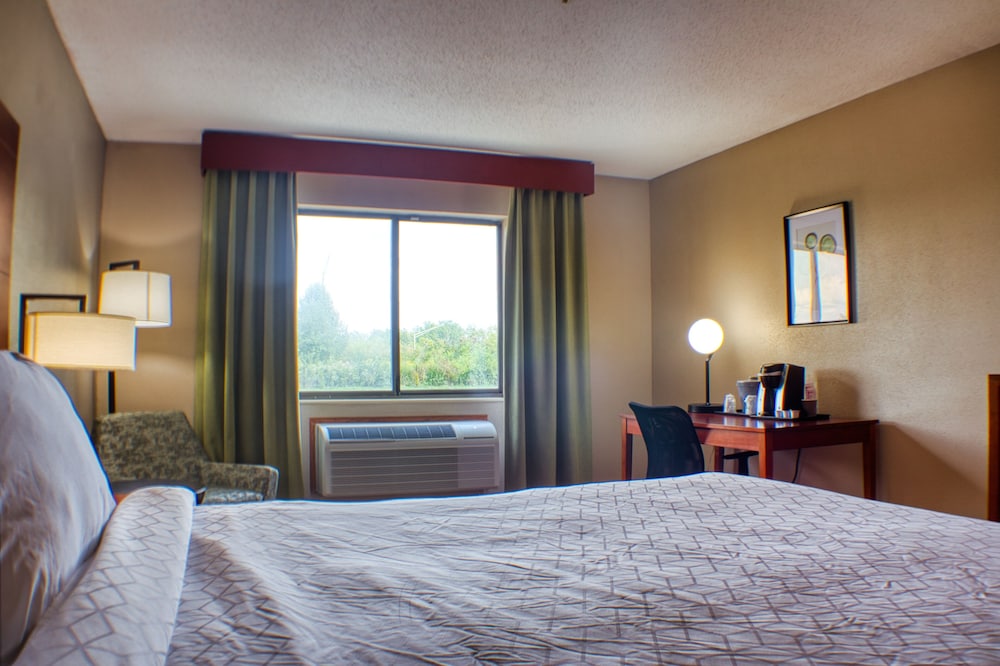 Standard Room, 1 King Bed, Non Smoking, Refrigerator & Microwave (With Sofabed) - Photo 7