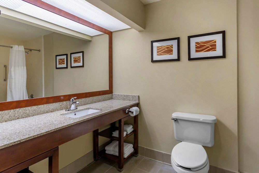 Comfort Suites Goodlettsville Rivergate, Bilde 5