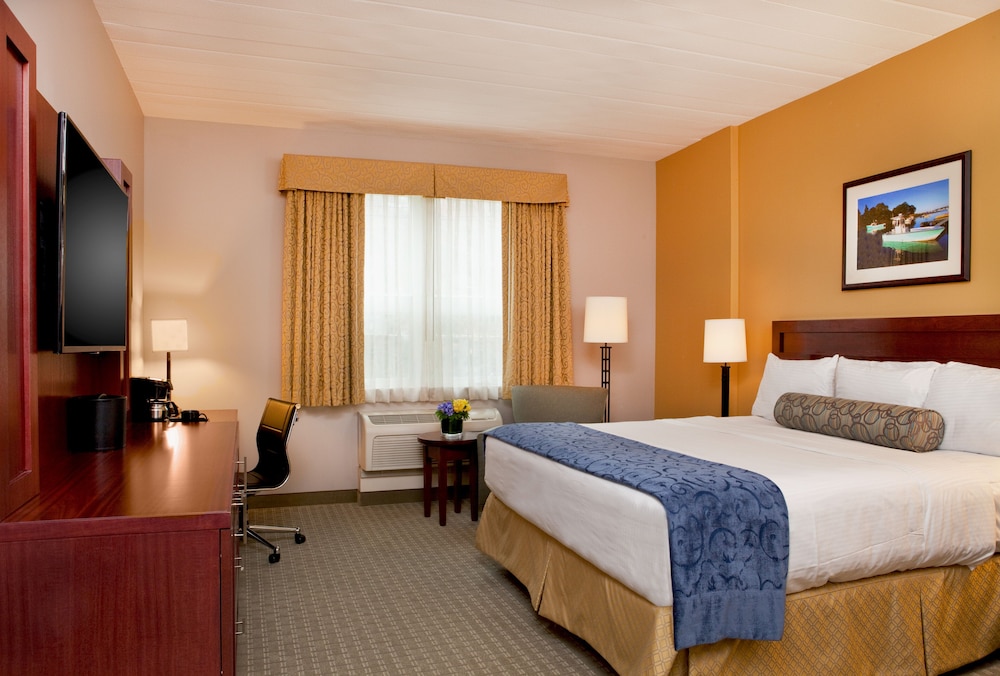 Standard Room, 1 King Bed
