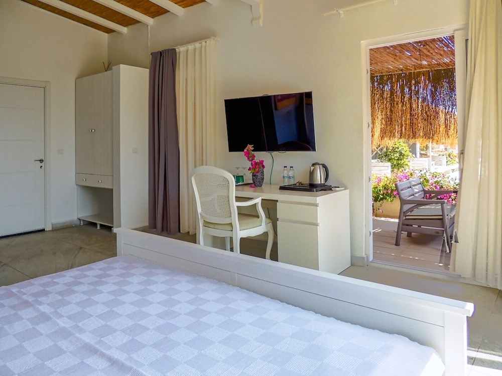 Executive Room - Photo 5