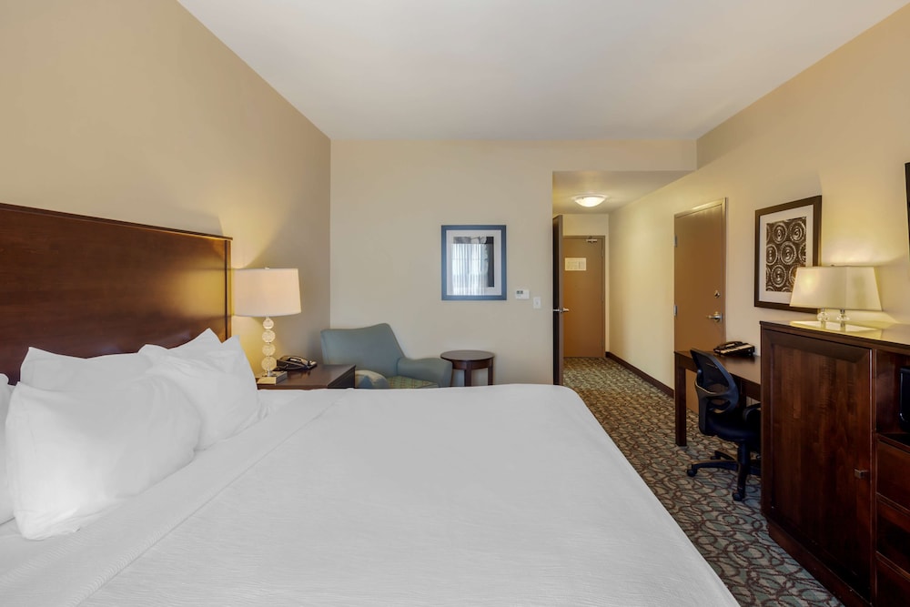 Standard Room, 1 King Bed, Non Smoking, Refrigerator & Microwave (Pet Friendly) photo 3