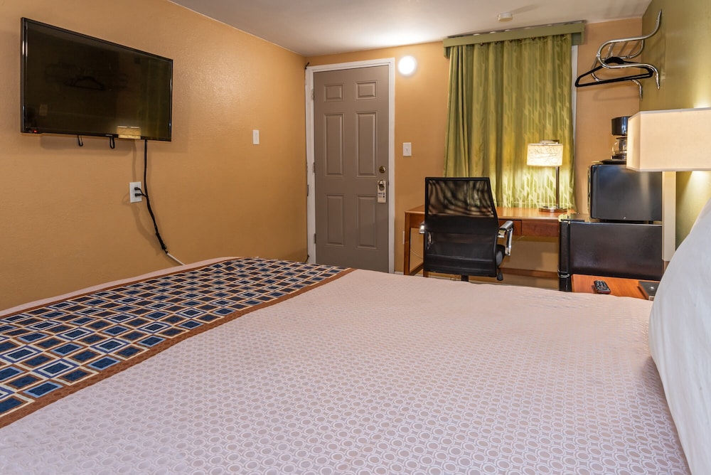 Single Room, 1 King Bed photo 3