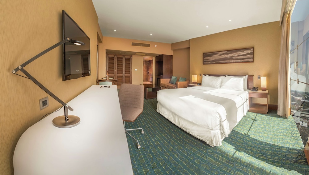 Deluxe Suite, 1 King Bed photo 2