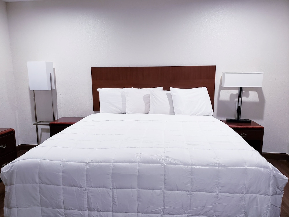 Single Room, 1 King Bed, Non Smoking photo 3