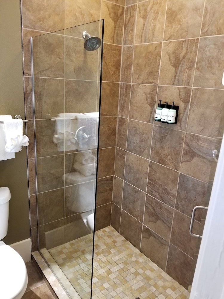 Premium Single Room, 1 King Bed photo 2