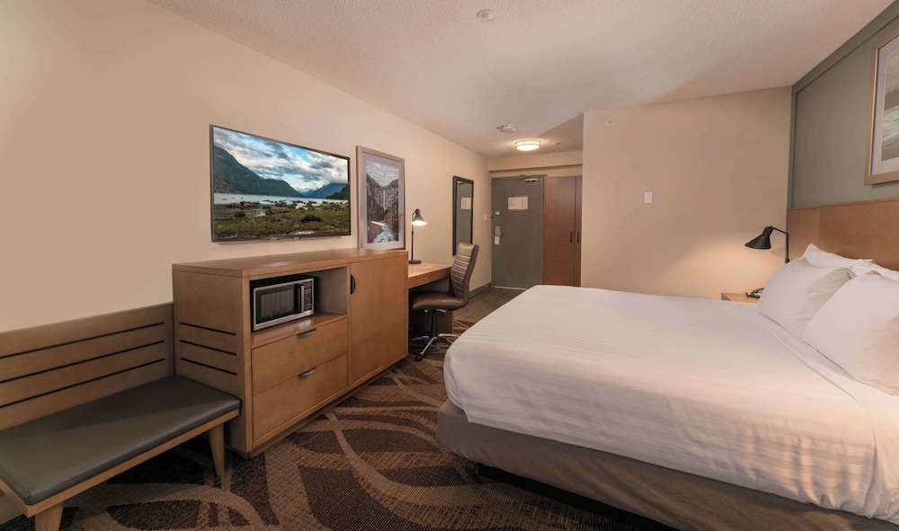 Standard Room, 1 King Bed, Non Smoking (Pet Friendly;with Sofabed) photo 3
