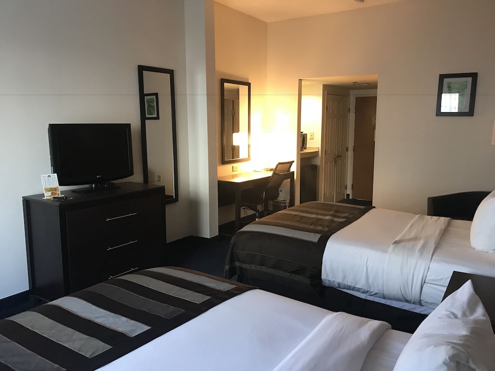Room, Non Smoking, Refrigerator & Microwave