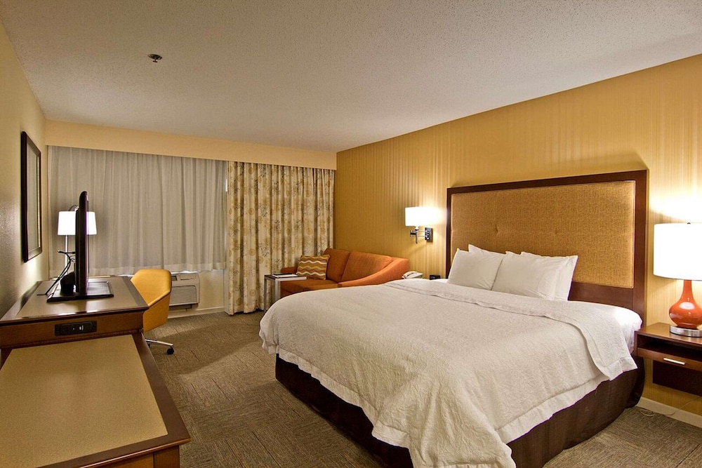 Deluxe Room, 1 King Bed (Tub/Shower Combo)