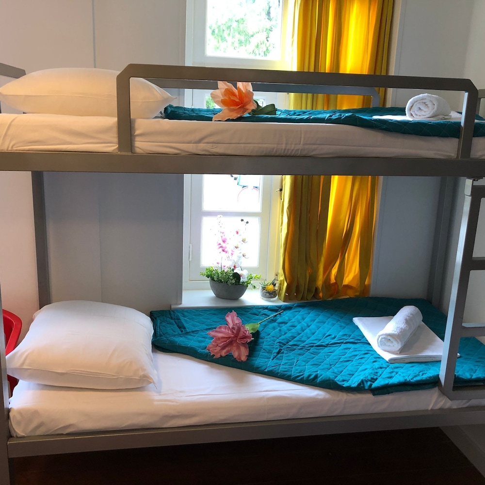 Basic Shared Dormitory photo 1