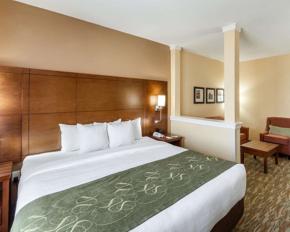 Suite, 1 King Bed with Sofa bed, Non Smoking, Kitchenette photo 2