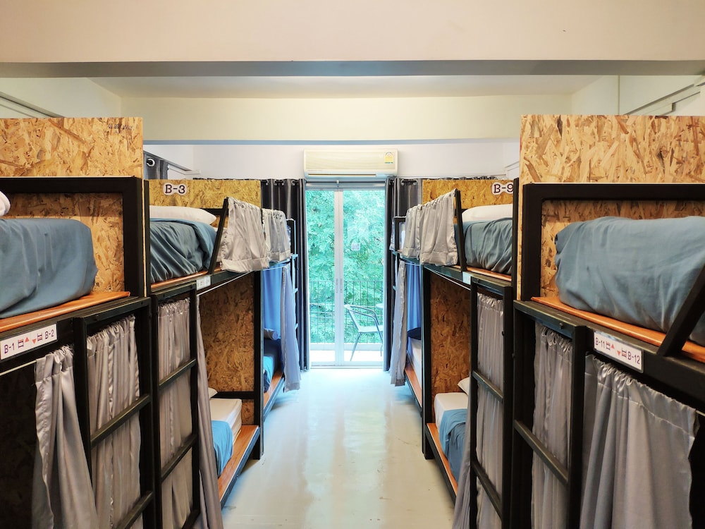 Bunk Bed in Mixed Dormitory Room photo 1