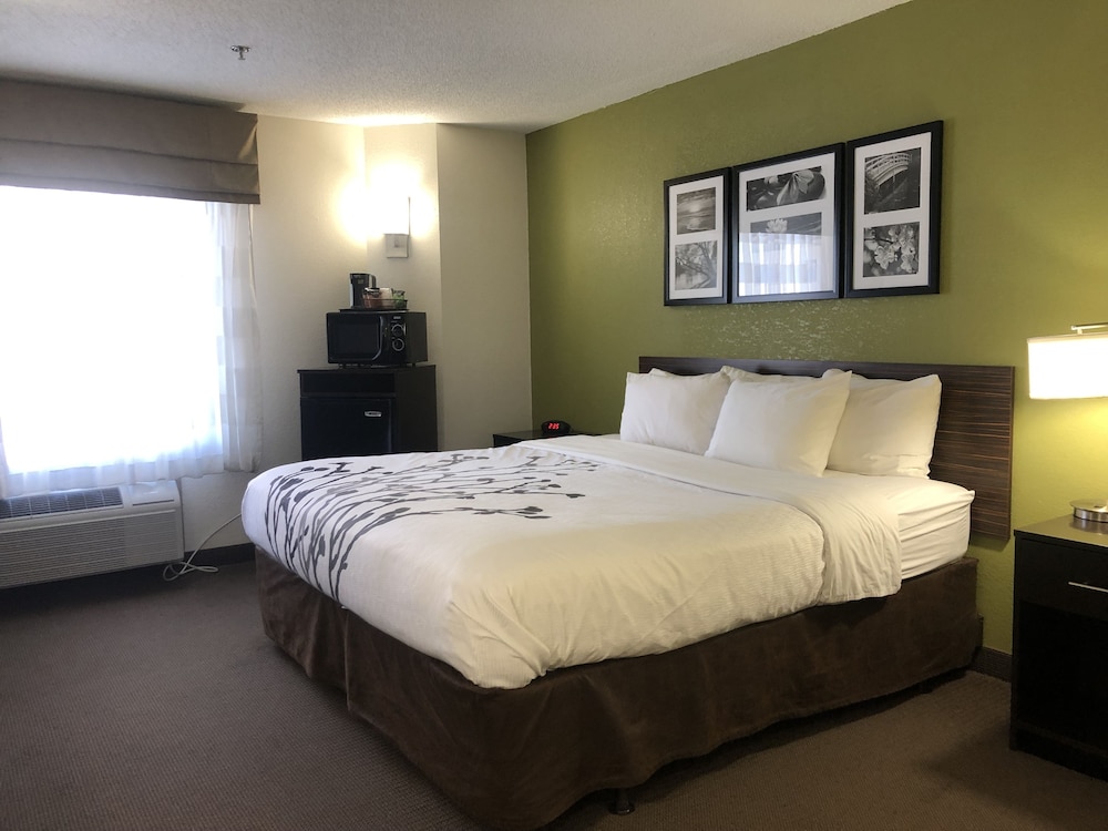 Standard Room, 1 King Bed, Non Smoking, Refrigerator & Microwave - Photo 1
