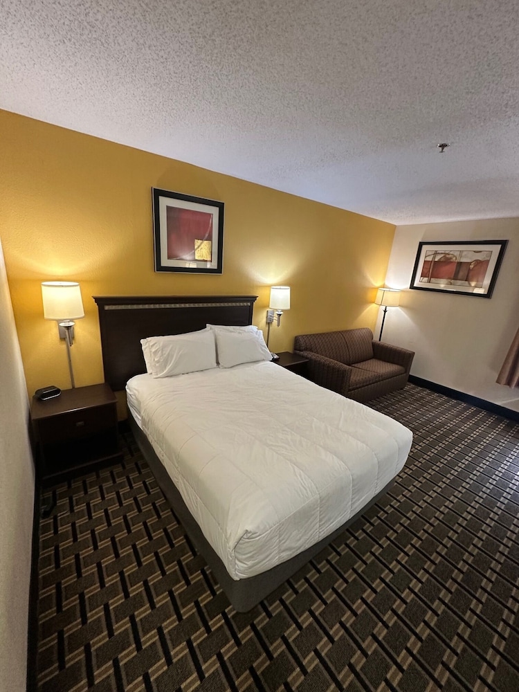 Standard Room, 1 King Bed, Roll-in Shower, Non Smoking photo 1
