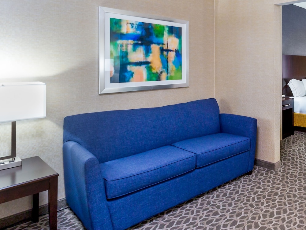 Suite, 1 King Bed - Photo 1