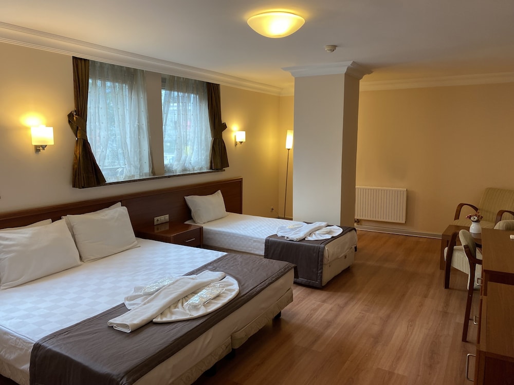 Superior Triple Room, Non Smoking, City View photo 2