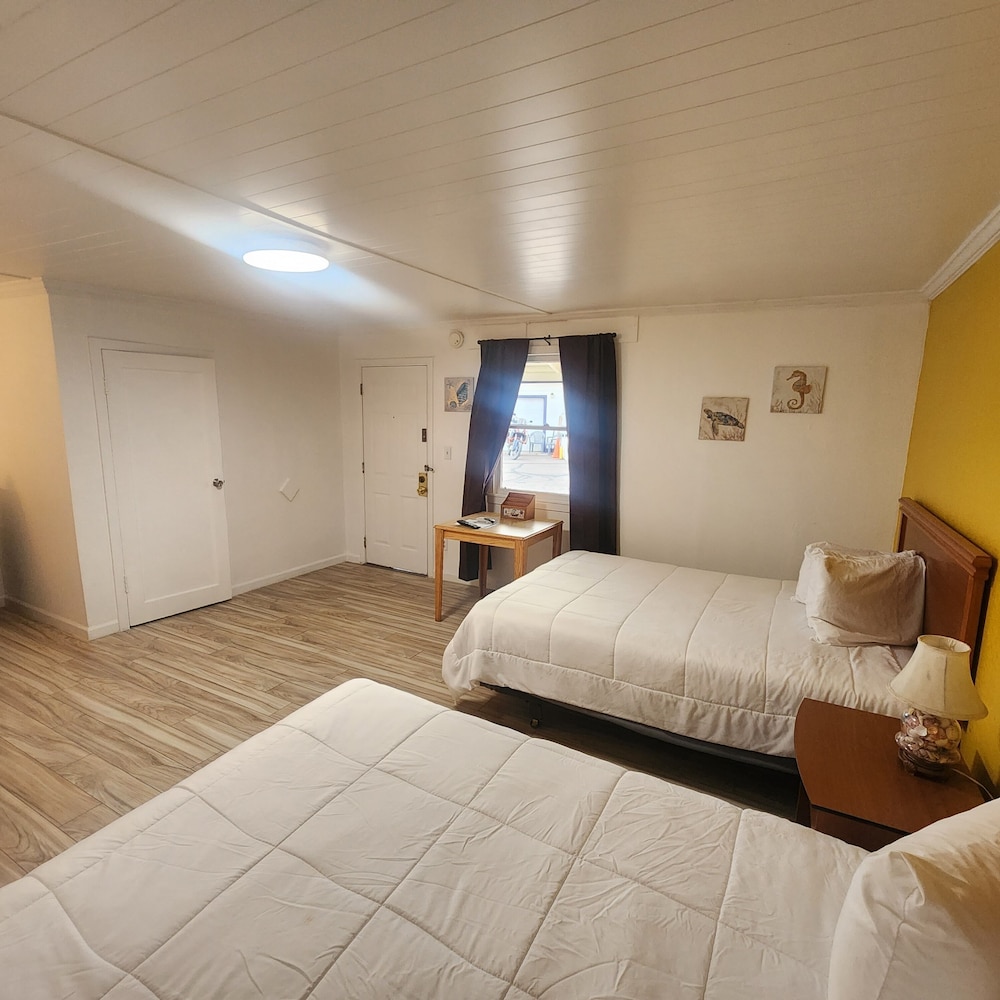 Rose's Motel, Foto 15