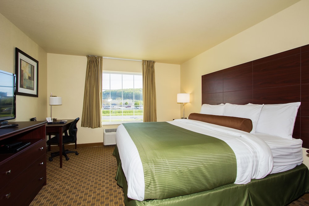 Suite, 1 King Bed, Non Smoking photo 2