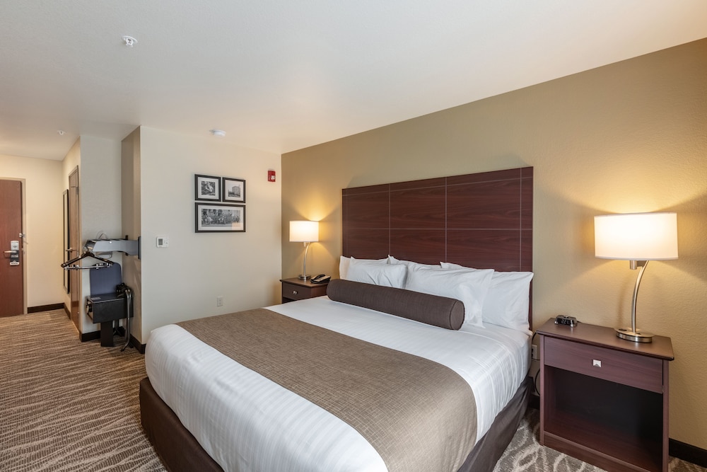 Accessible Room, 1 King Bed, Benched Tub, Non Smoking photo 2