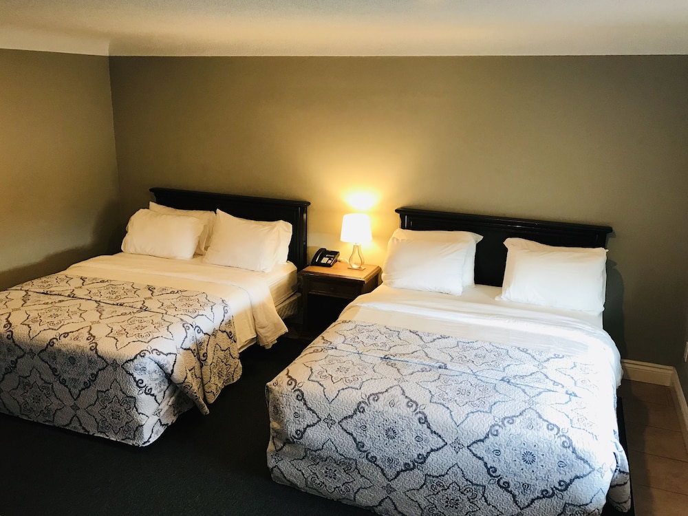 Comfort Double Room, 2 Queen Beds photo 1