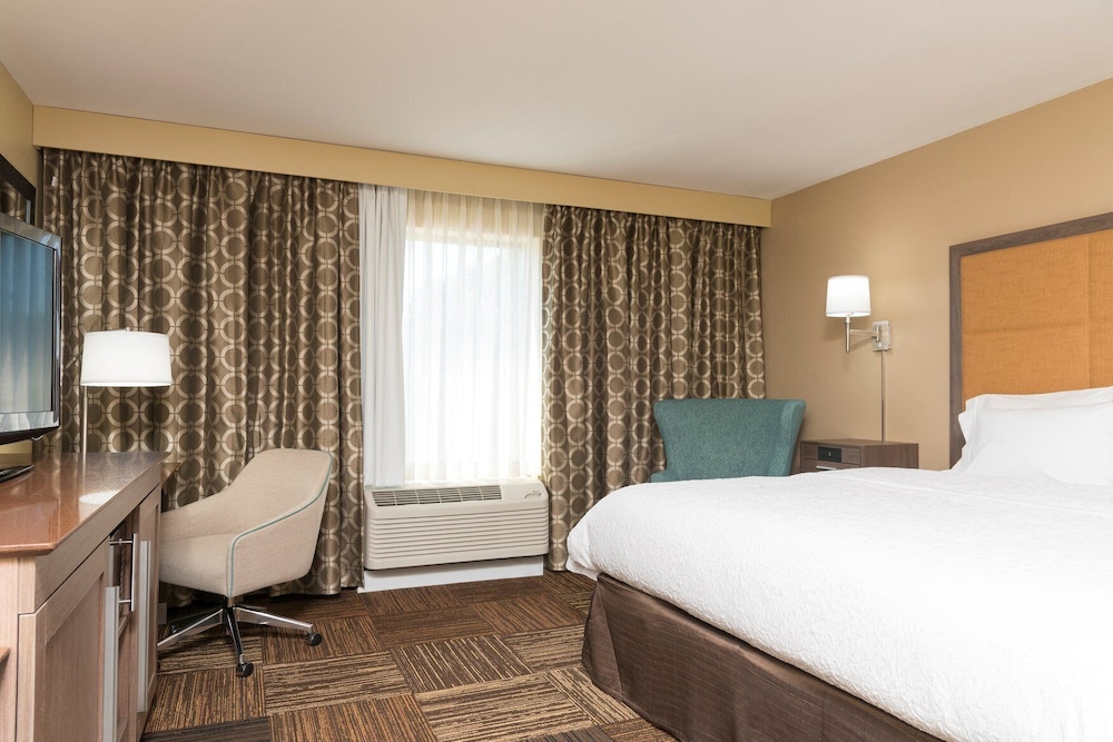 Room, 1 King Bed photo 2