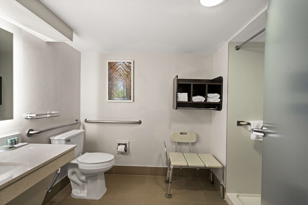 Standard Room, 1 King Bed, Accessible, Non Smoking (Walk-in Shower) - Photo 4