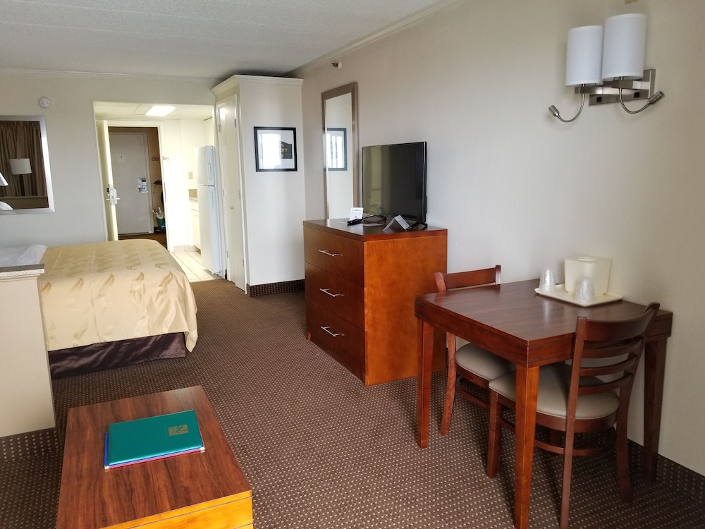 Efficiency, Standard Room, 1 King Bed with Sofa bed, Non Smoking photo 3