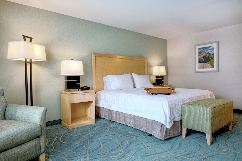 King, Room, 1 King Bed, Accessible, Bathtub photo 1